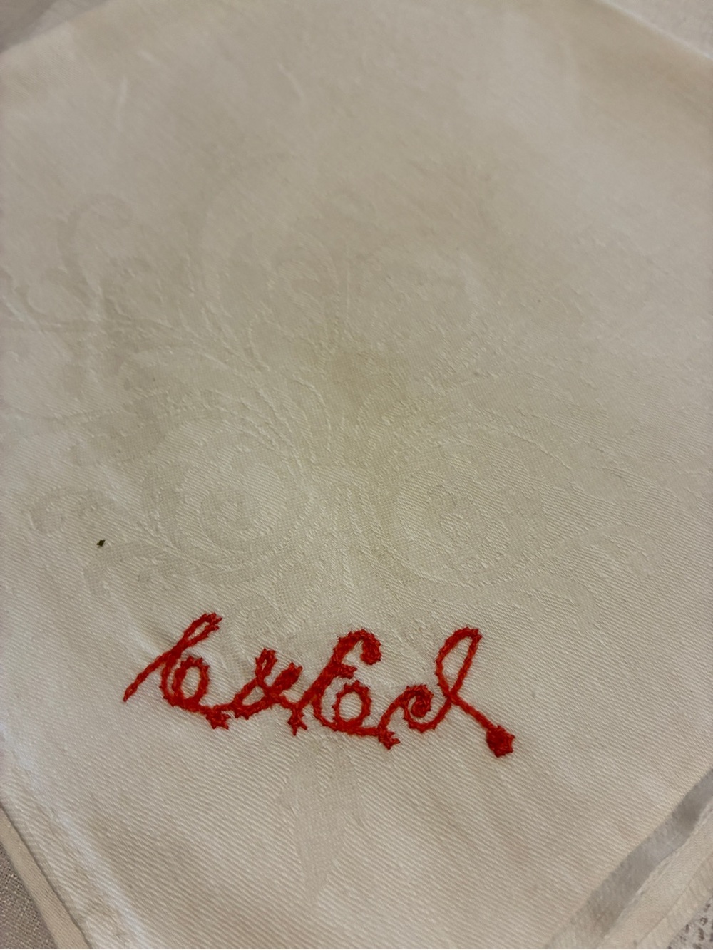 Vintsge Embroidered Monogram Linen Napkins/Towels